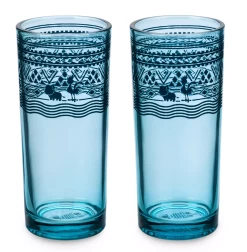 Disney Parks Moana Spotlight Pua Hei Hei Tall Glass Tumbler Set Of 2 New