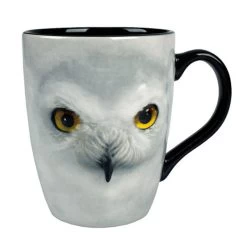 Universal Studios Wizarding World Of Harry Hedwig Ceramic Coffee Mug New